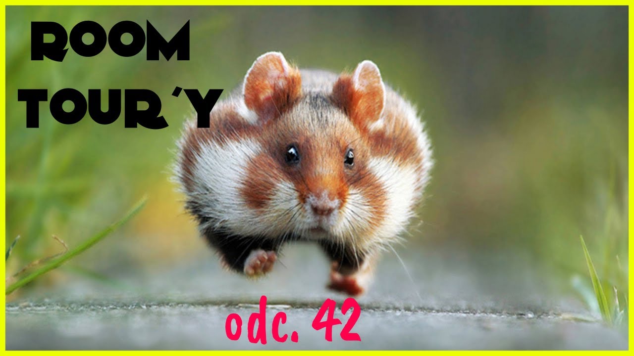 ❤ ZOBACZ JAK ŻYJĄ ZWIERZAKI MOICH WIDZÓW ❤ - Room tour'y odc.42 | CHOMIKI | Uszatkowe Rady
