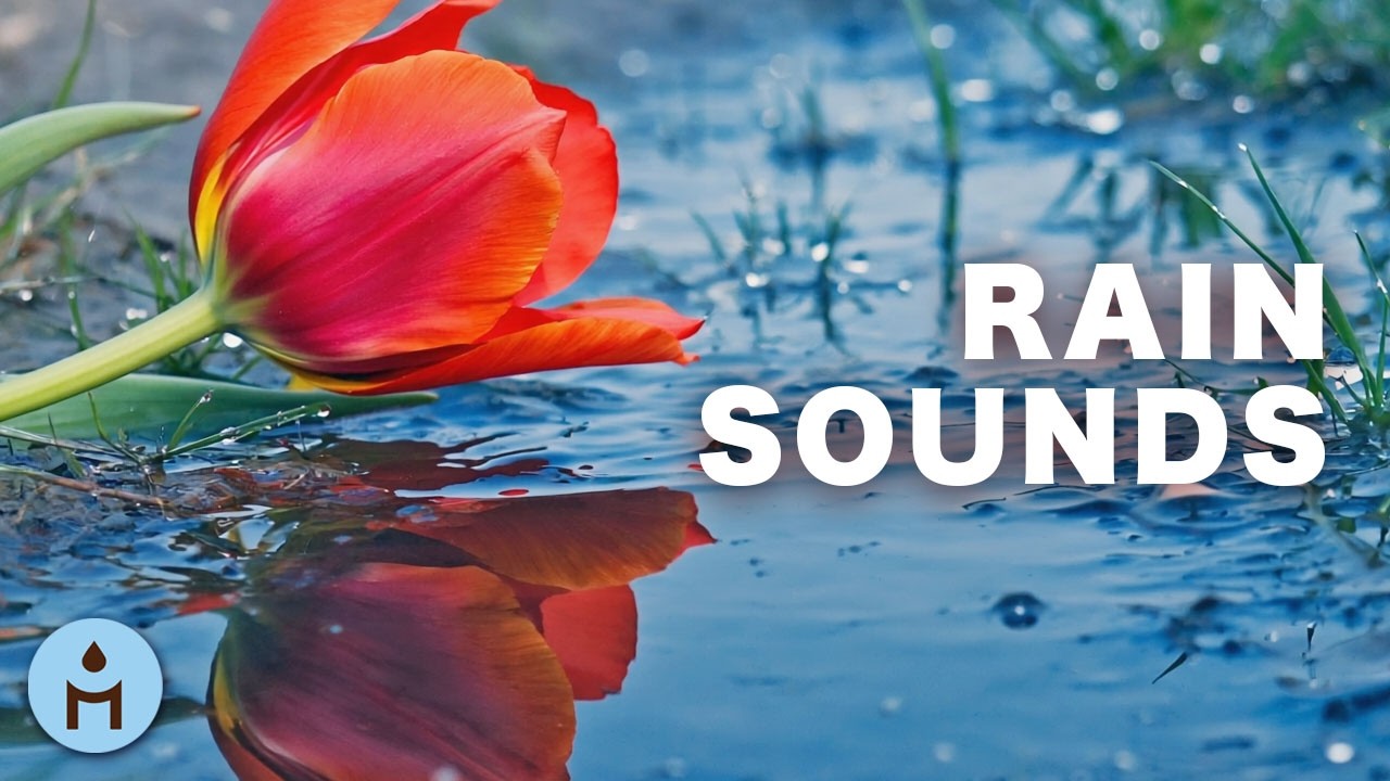 Dormir Profondément 🌧️ AVEC LA PLUIE 🌧️ Musique & sons relaxantes pour sommeil réparateur