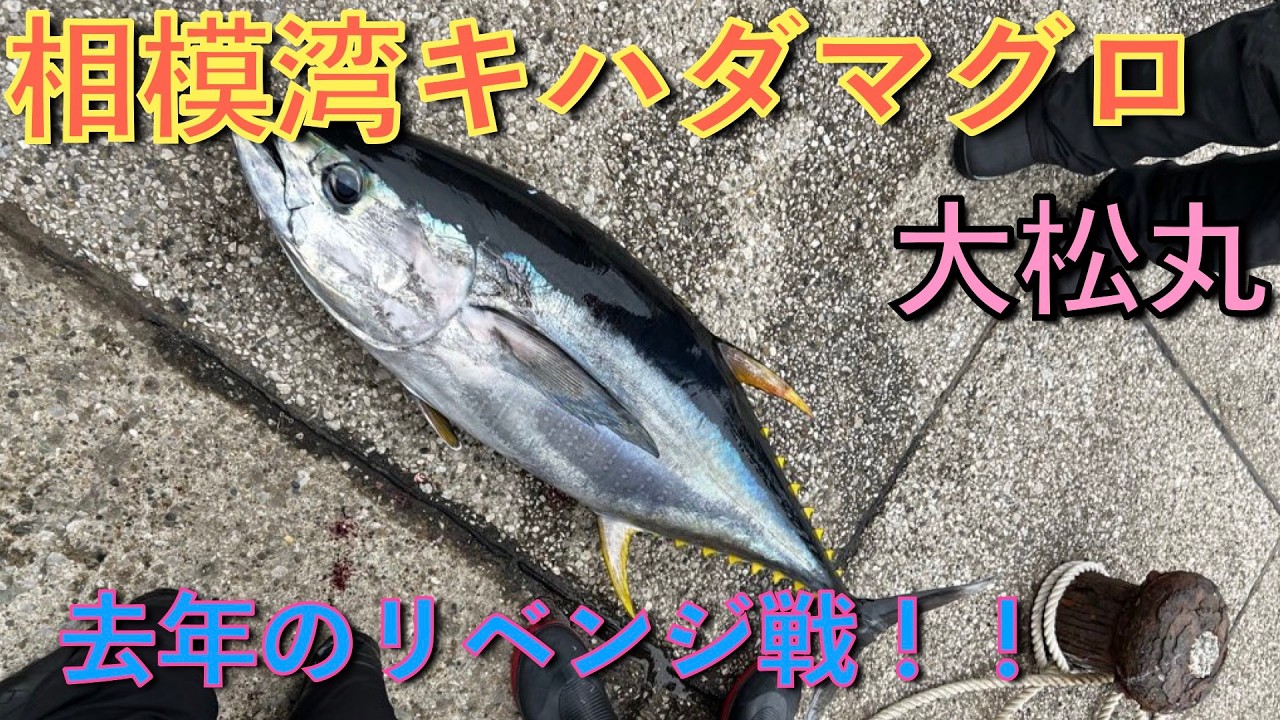 #041【リベンジなるか】相模湾キハダ再挑戦…隣でまさかのヒット！