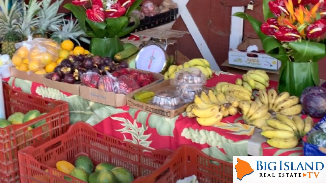 What to Do in Waimea~Midweek Farmers Market at Pukalani Stables | Big Island Real Estate TV