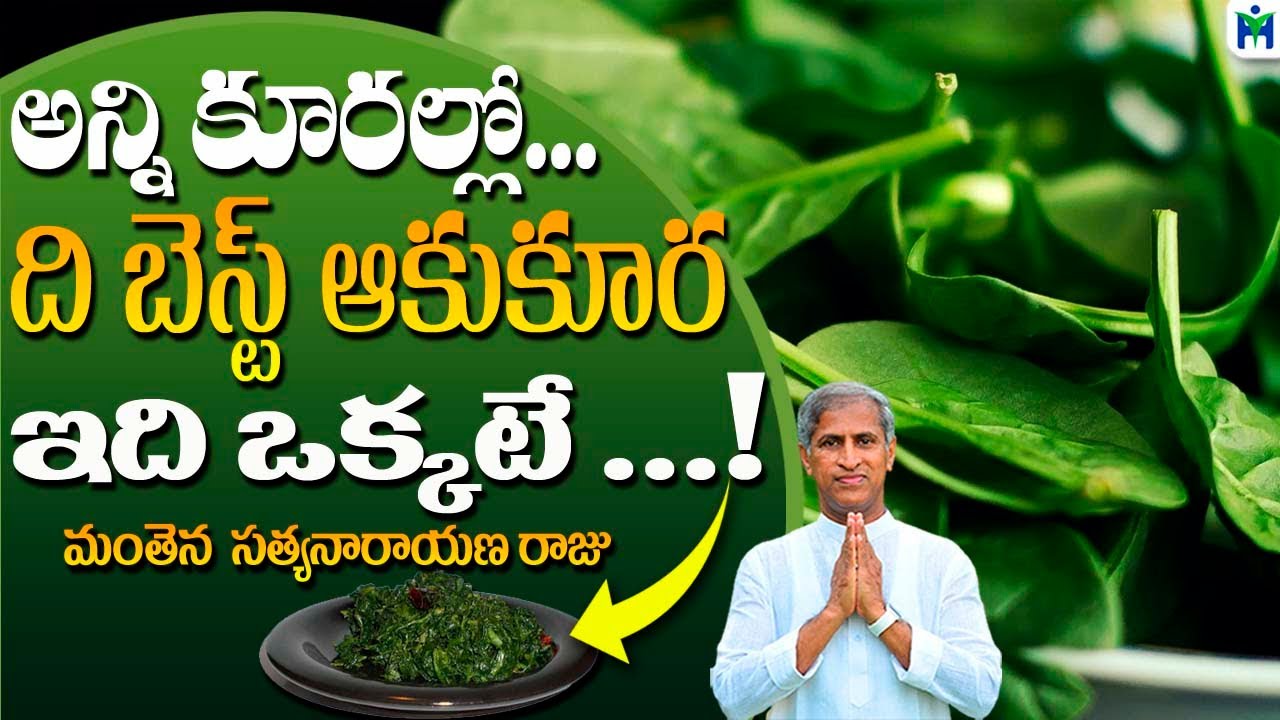 అన్ని కూరల్లో ది బెస్ట్ ఆకుకూర అంటే  ఇది ఒక్కటే | Manthena Satyanarayana Raju | Health Mantra |