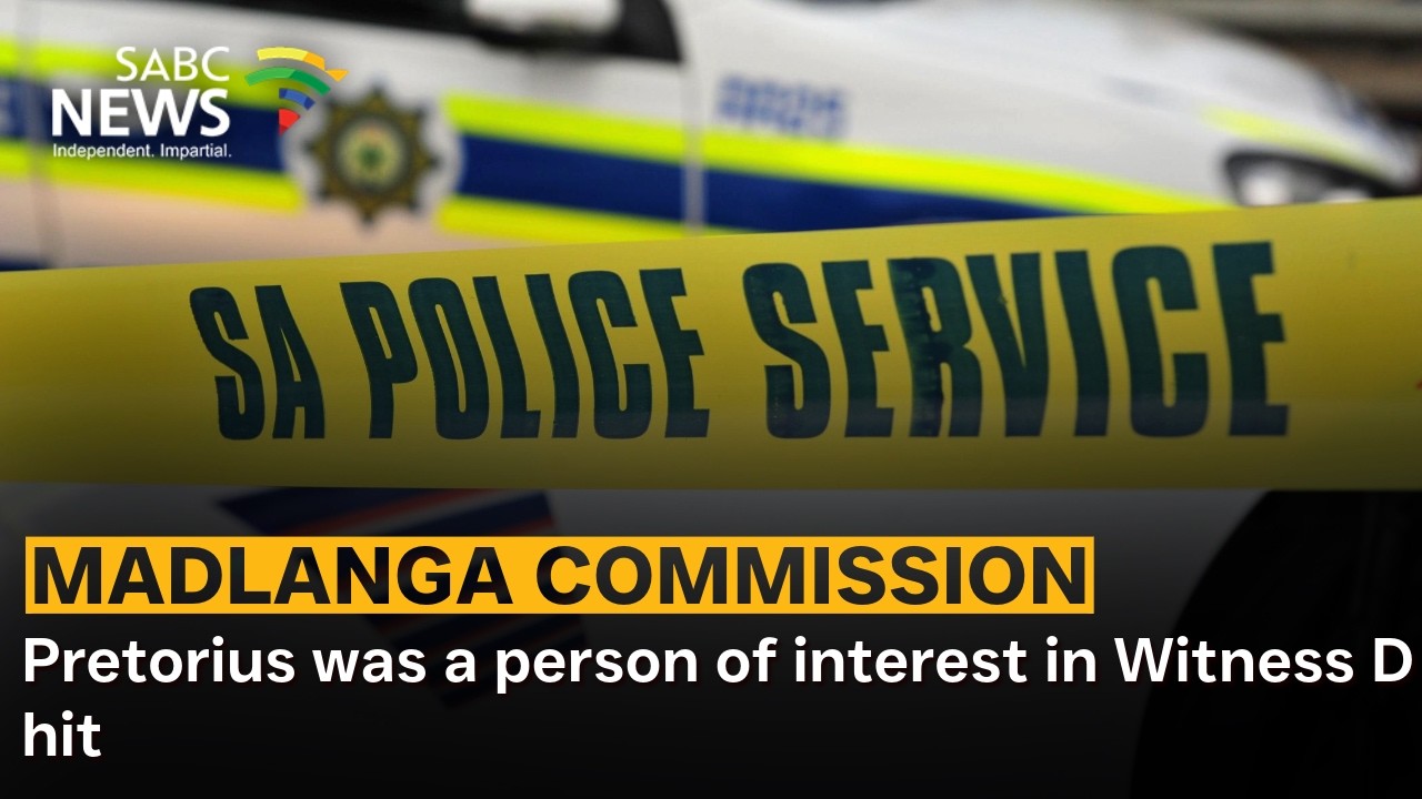 Madlanga Commission | Pretorius was a person of interest in Witness D hit