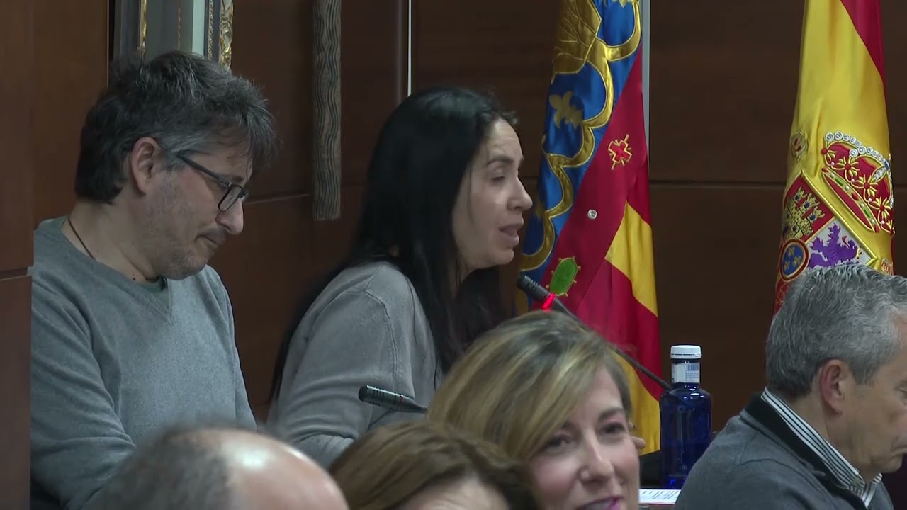 PLENO ORDINARIO   27 11 25