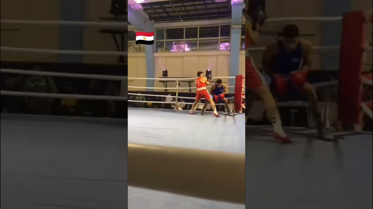 🇪🇬The Egyptian Boxing Federation in full gear for a nationwide boxing revamp. 📹Egyptboxingfederation