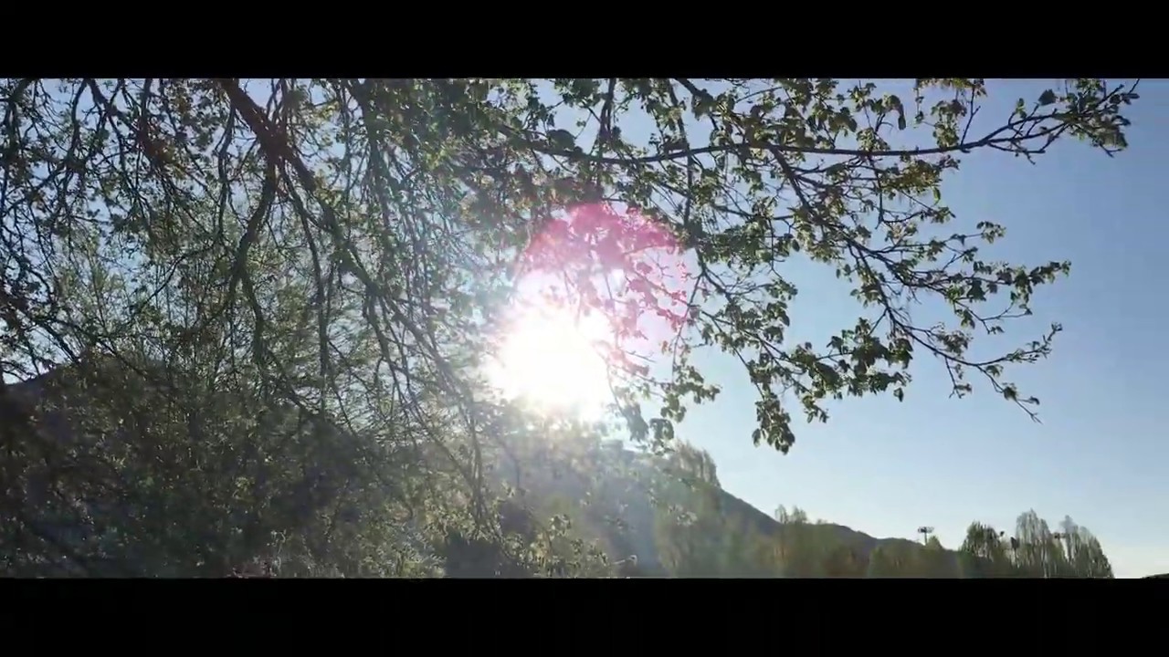 Cinematic spring