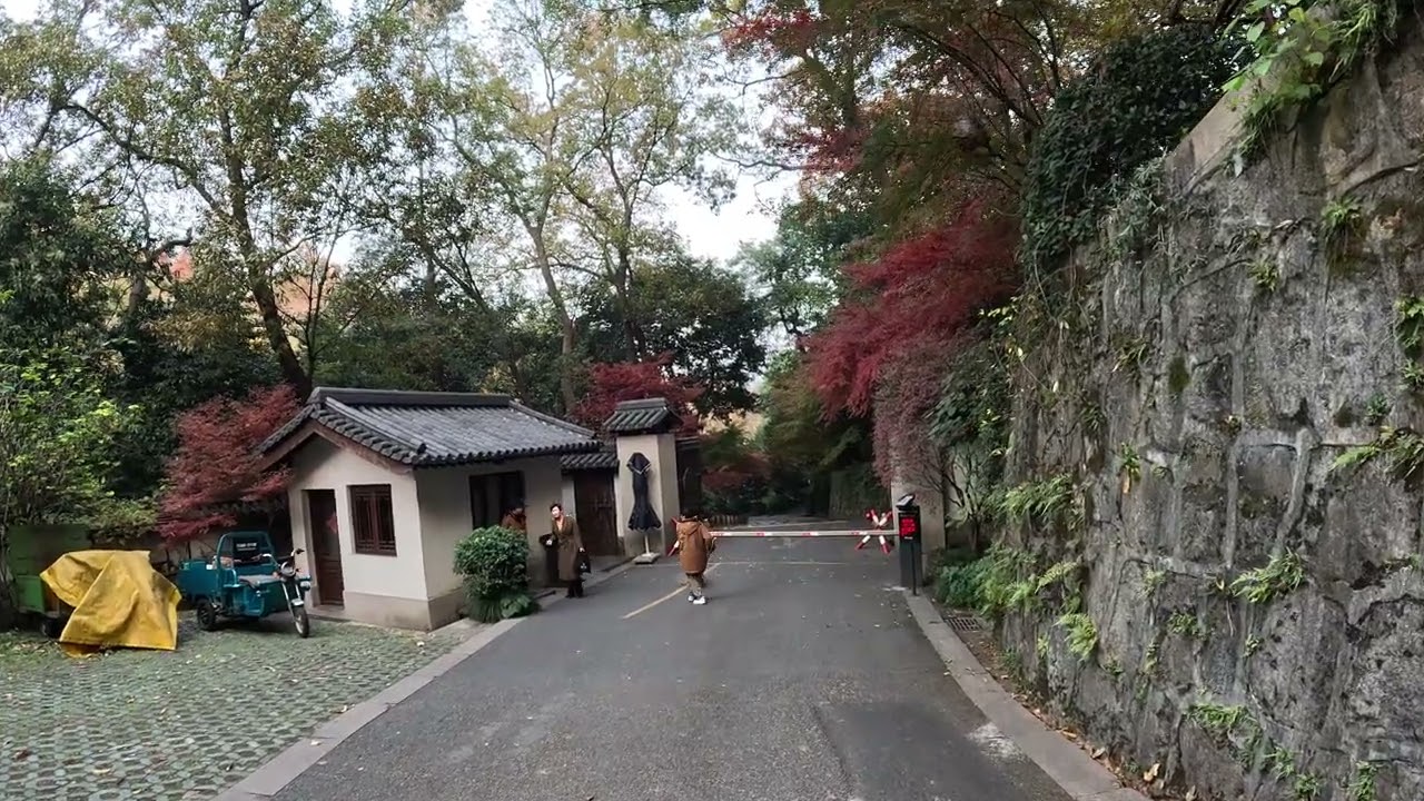 走走停停看看