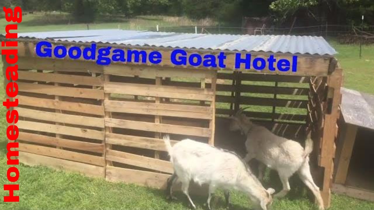 Pallet Project: The New Goat Mansion!