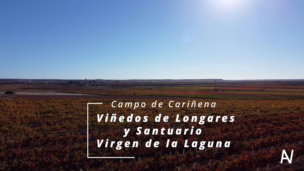 #011 Longares, vi&ntilde;edos🍇a vista de dron