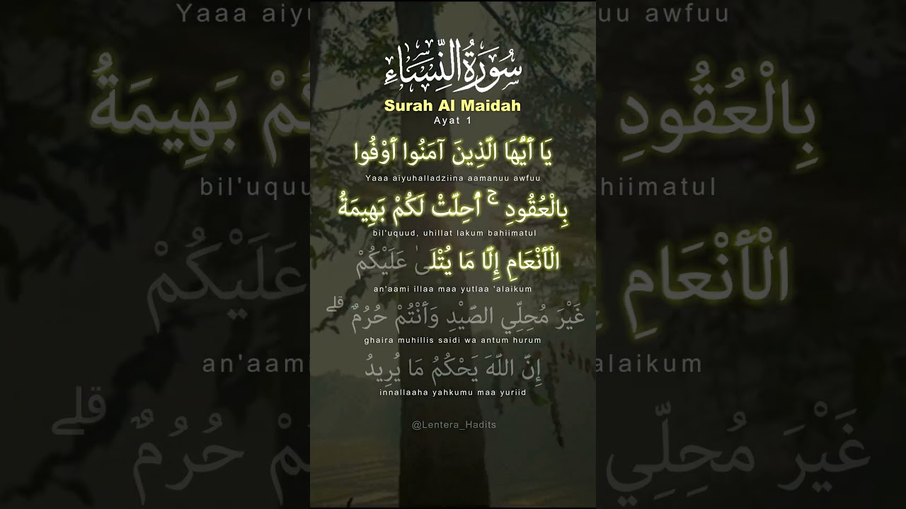Al Quran Surah Al Maidah Ayat 1