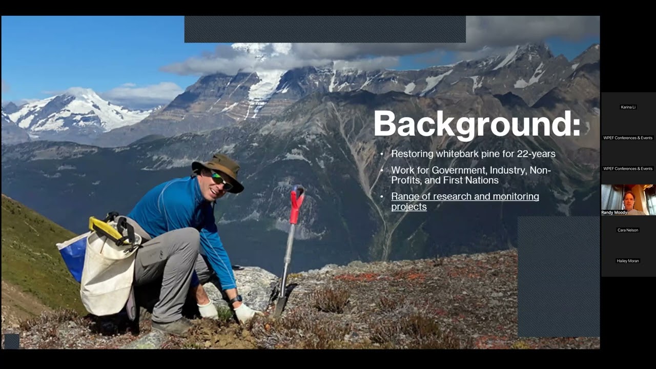 Whitebark pine restoration: What have we learned?, R. Moody