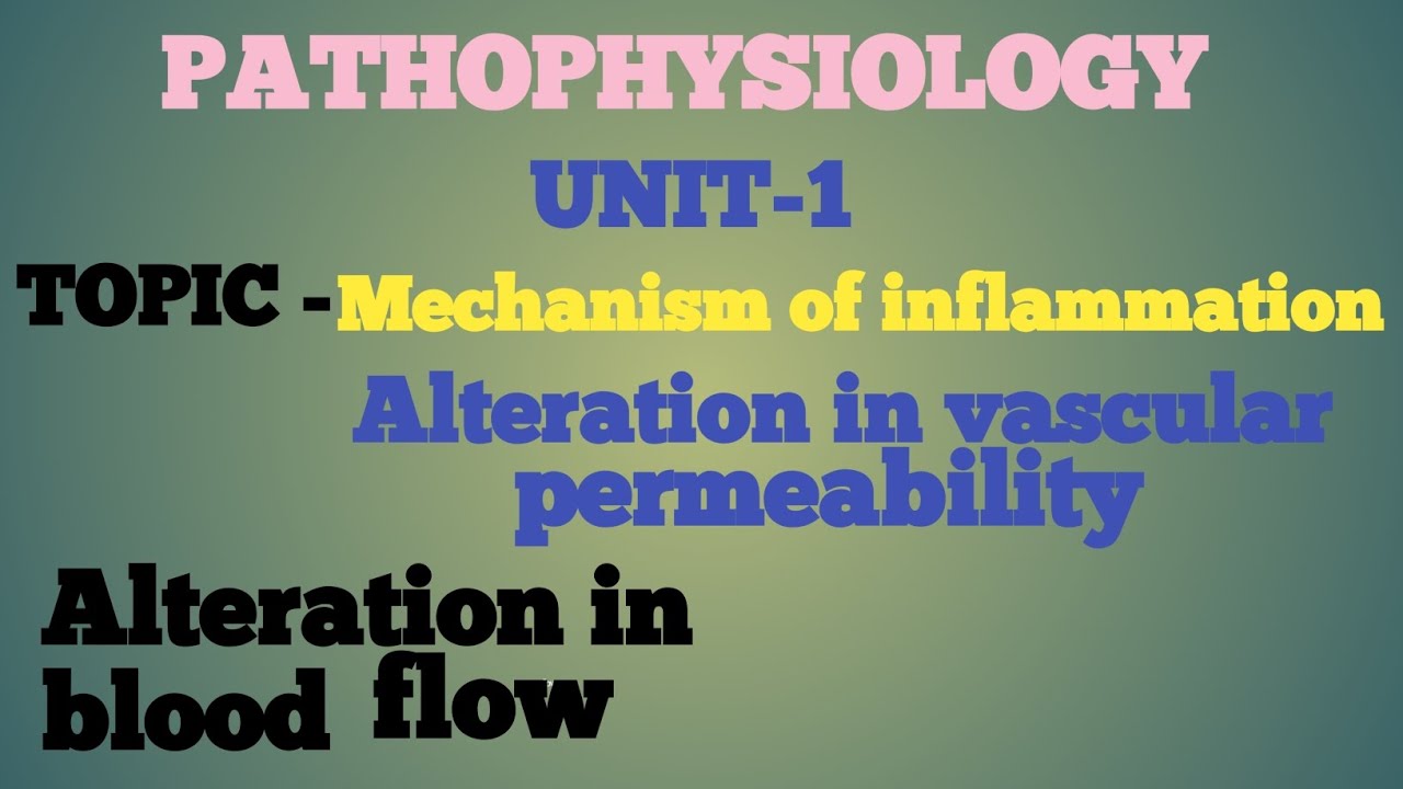 Pathophysiology unit-1# mechanism of inflammation # Alteration in vascular permeability # blood flow