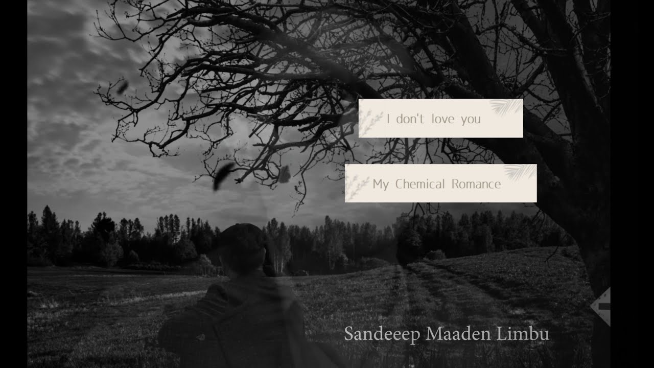 i don't love you - My Chemical Romance cover song