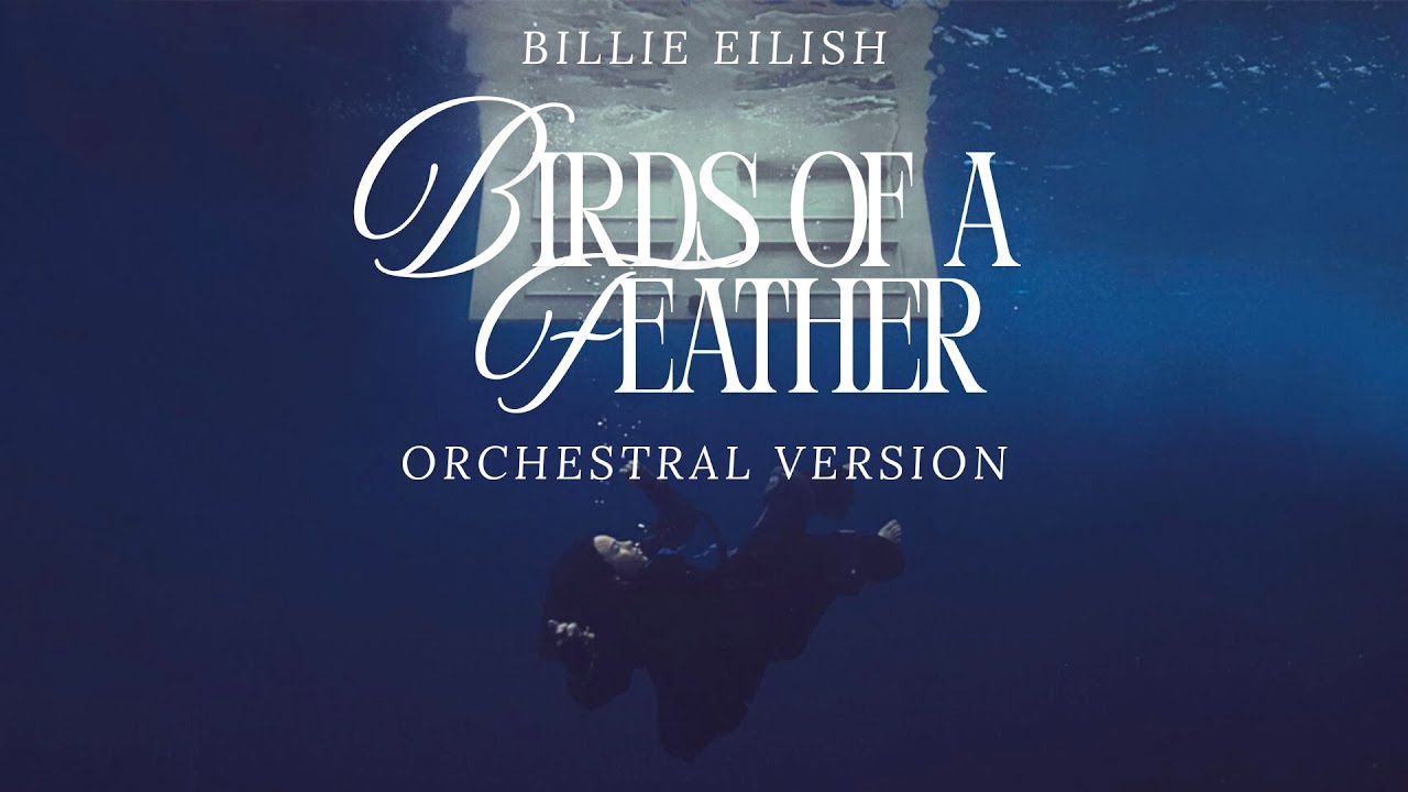 Billie Eilish - BIRDS OF A FEATHER (ORCHESTRAL VERSION)