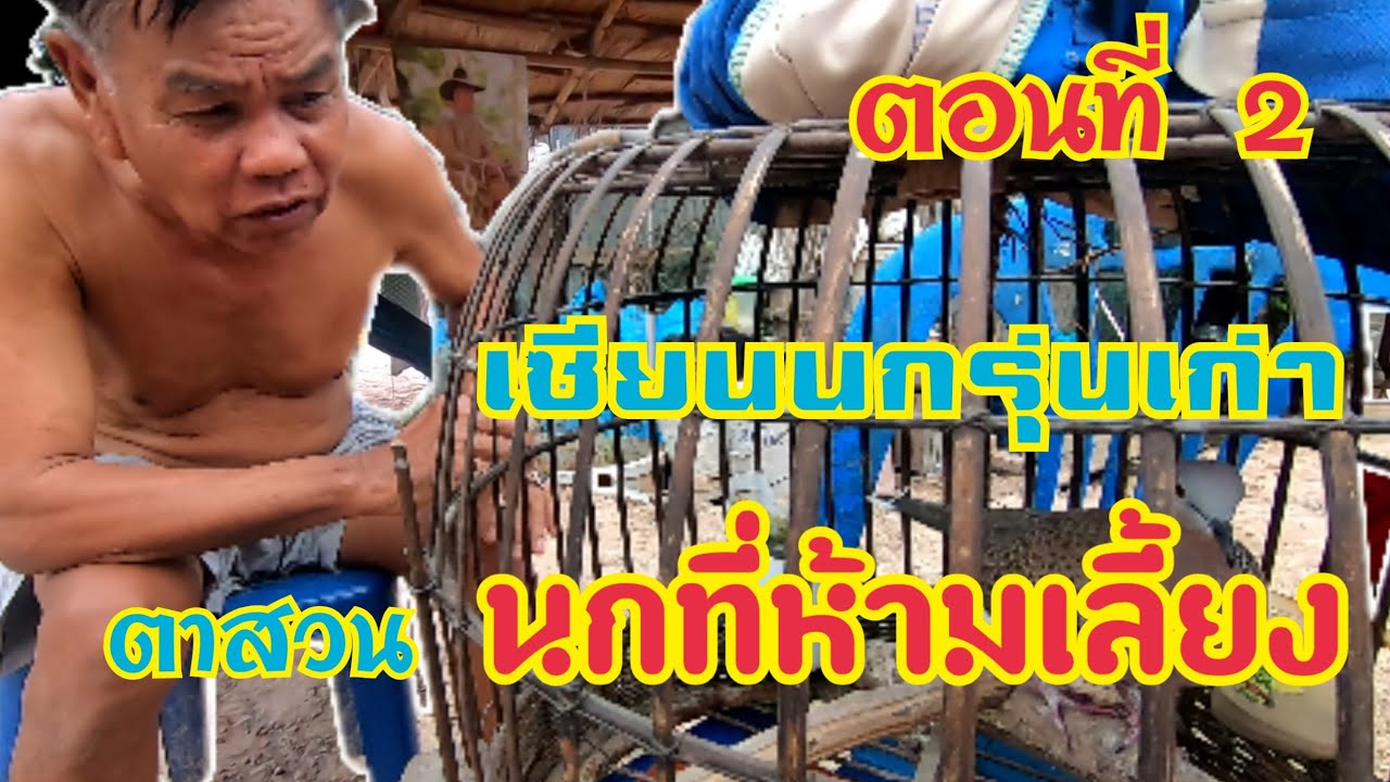 ตาสวน เซียนนกรุ่นเก่า นกที่ห้ามเลี้ยง