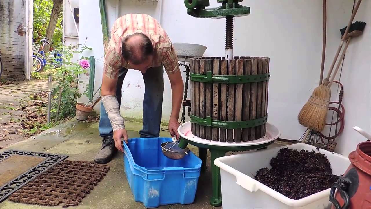 PRESSING WINE