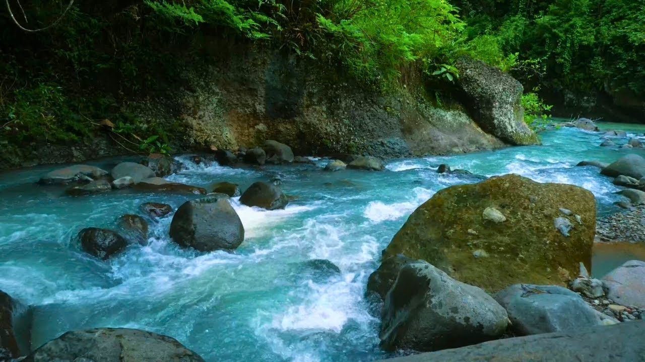 Peaceful Nature Sounds: Flowing River Stream for Sleep and Meditation