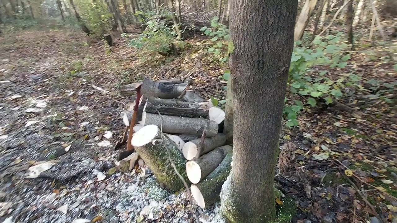 A DAY IN THE WOODS #3: Elwell axes
