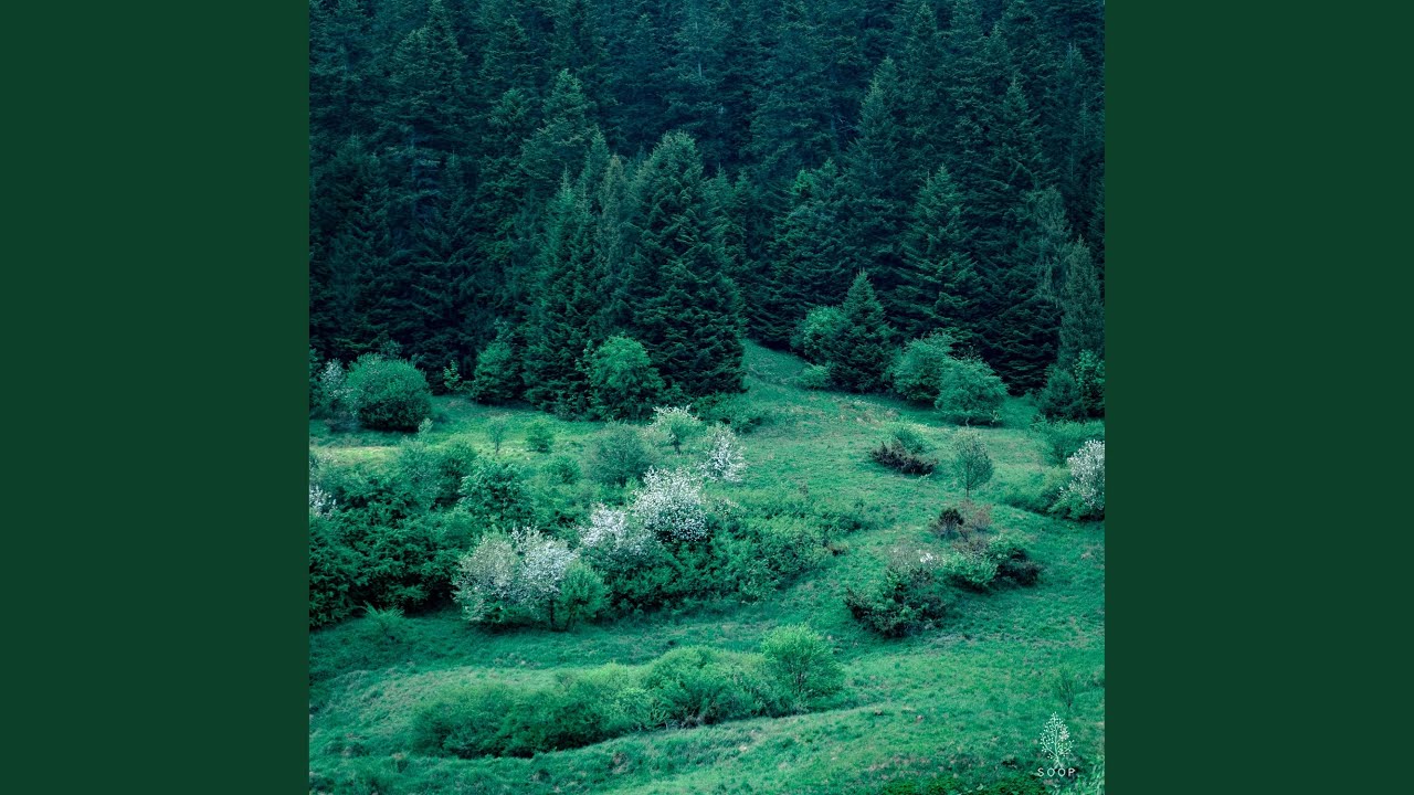 Beethoven : Piano Sonata No.8 in c minor ‘Pathétique’ 2nd mov
