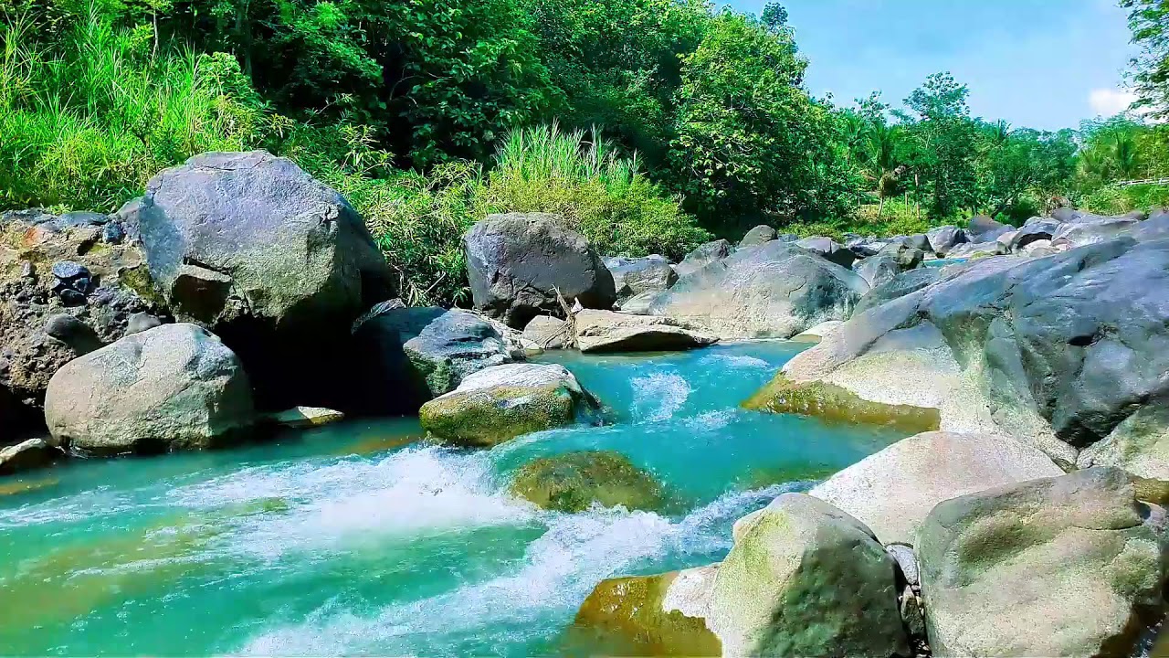 Serene River Sounds | Natural Water Ambience for Calm Mind and Deep Sleep