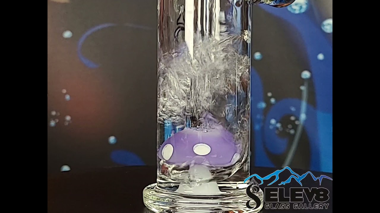 Mushroom Monday Mini Tube Function
