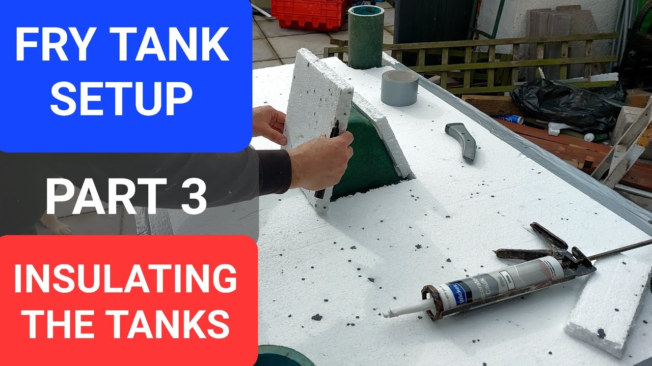 FRY TANK SETUP - INSULATING THE TANKS (KOI POND)