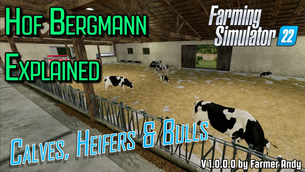 👨🏼‍🌾 FS22 Hof Bergmann: объяснение 👨🏼‍🌾 Коровы 👨🏼‍🌾 Телята, быки и быки