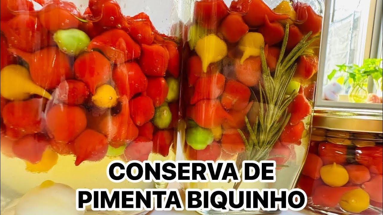 COMO FAZER CONSERVA DE PIMENTA BIQUINHO 