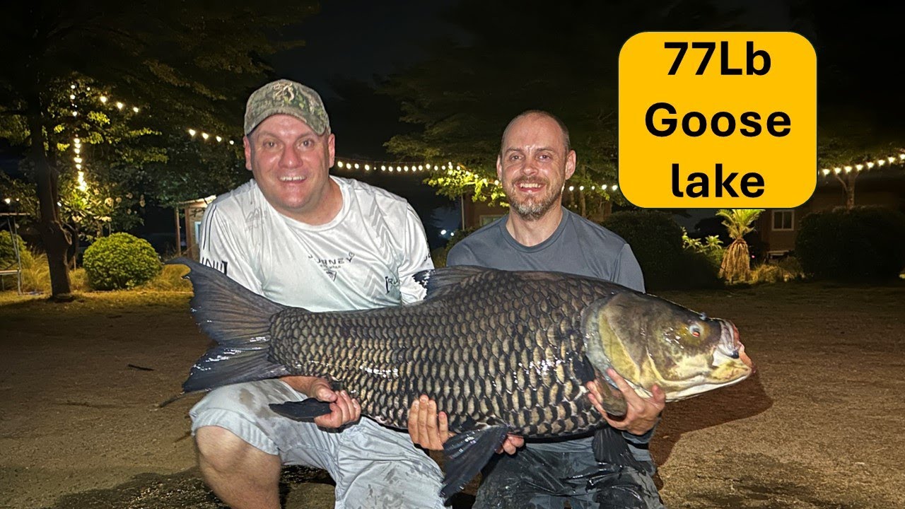 Richards birthday 2025 at goose lake. Fishing in thailand Siamese giant carp