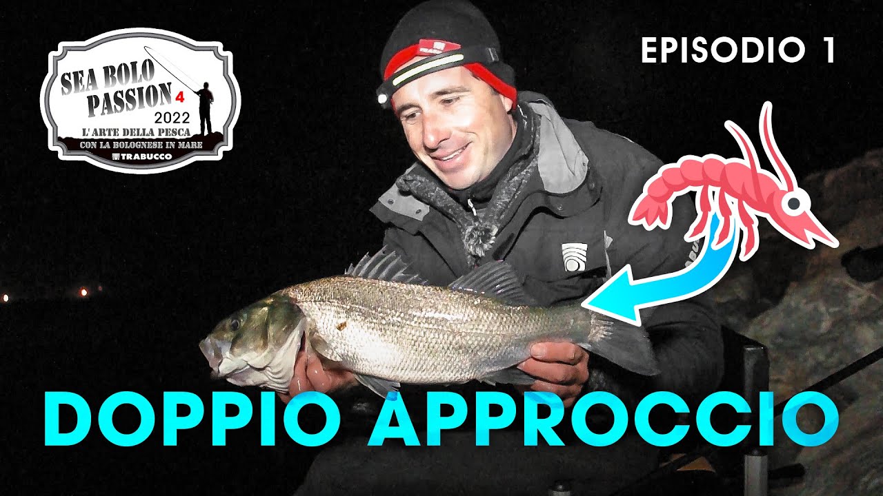 Pesca a BOLOGNESE: SPIGOLE con doppio approccio (🦐 & 🐛) | SEA BOLO Passion S4E1 @trabuccofishing