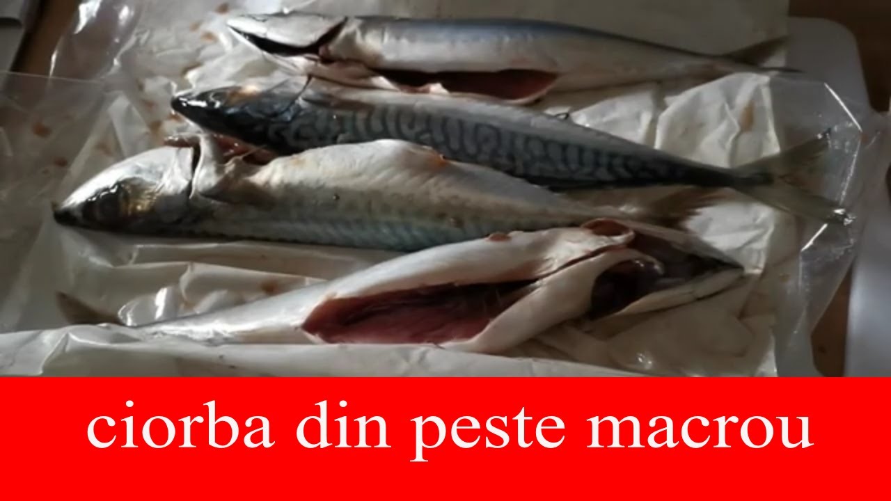 CIORBĂ DIN PEȘTE MACROU . gustul sublim al unui pește uitat.
