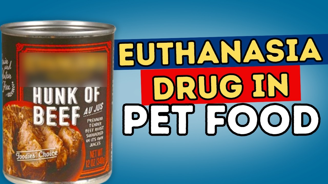 Pet Food Recall: Euthanasia Drug Found in Dog Food | How to Protect Your Pets