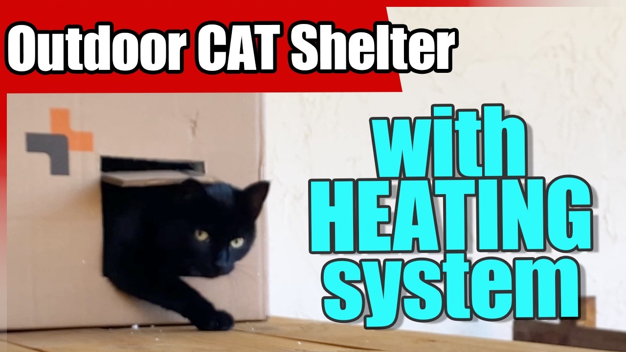Amazing Warm Shelter for Your Barn Cat!