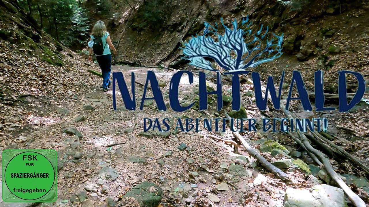 Nachtwald | Durch die Schluchten von #Stuttgart | Und Lost Places