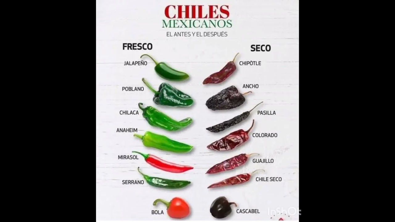 chilli types