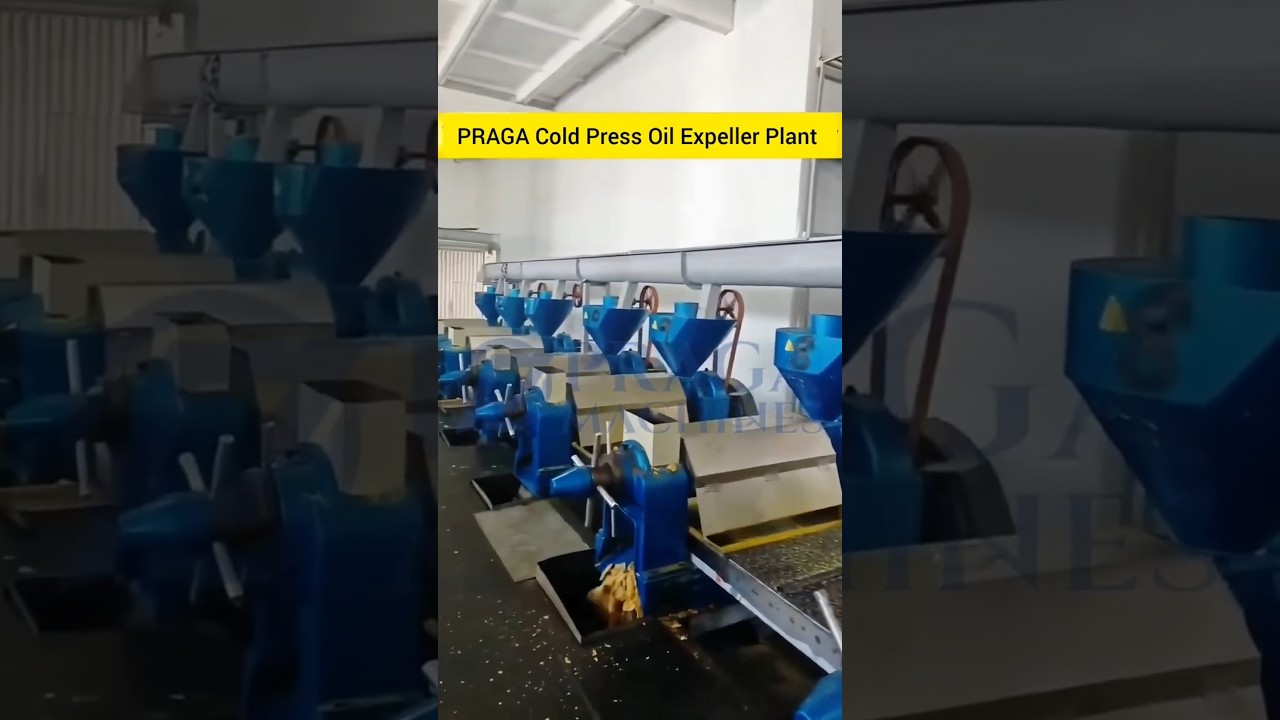 PRAGA Cold Press Oil Machines 🔥 | Start Your Oil Business With PragaMachines Today! #oilextraction