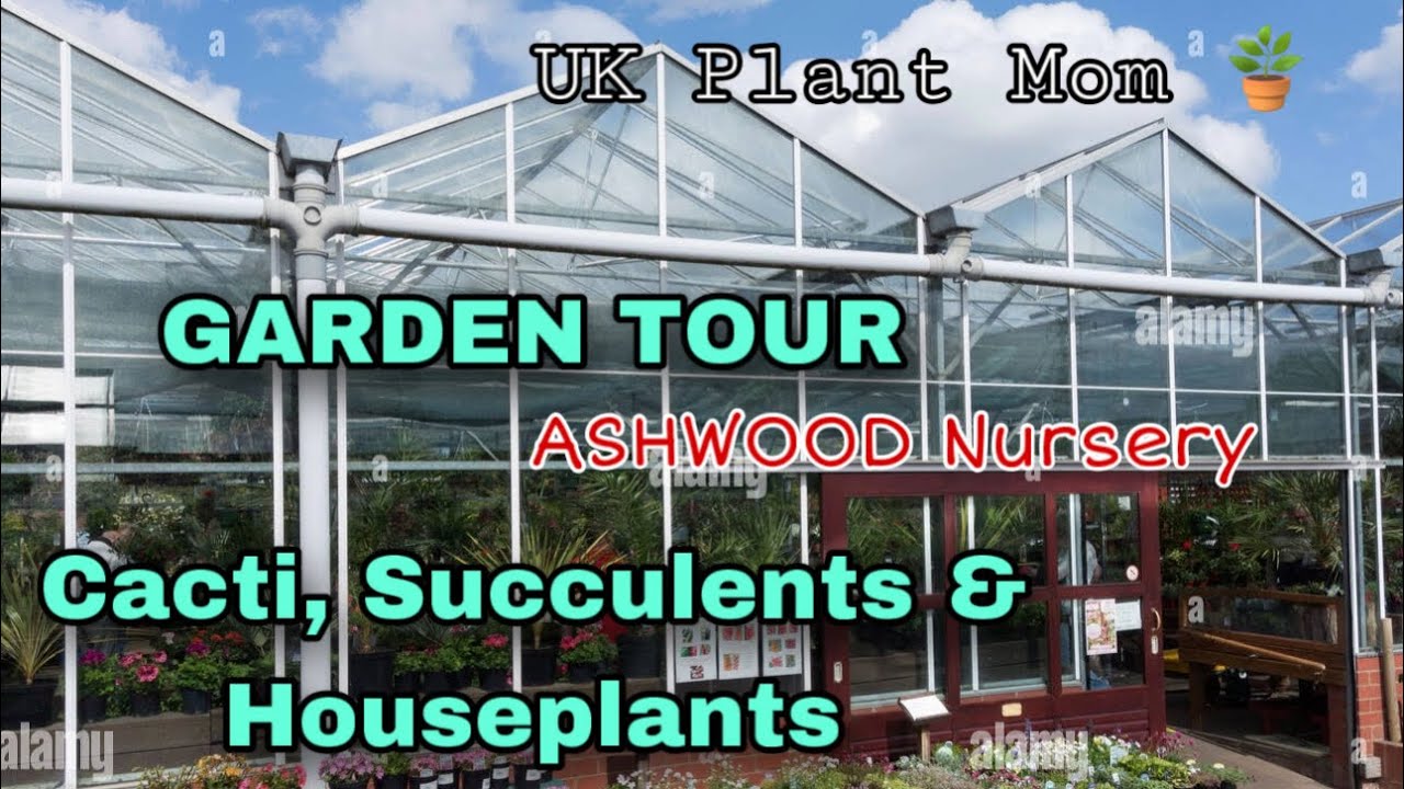 QUICK VISIT & TOUR TO ONE OF THE LARGEST Garden Centres in England #gardencentre #ukplantmom