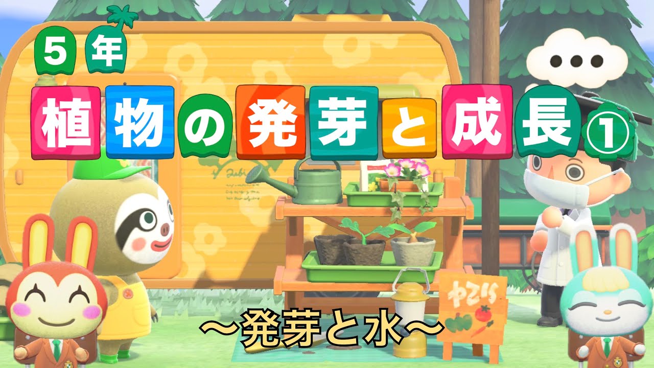 【小５理科】植物の発芽と成長①〜発芽と水〜