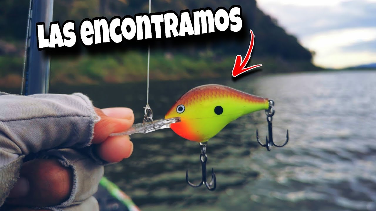 Cómo pescar con CRANKBAIT | Las encontramos con este efectivo SEÑUELO 