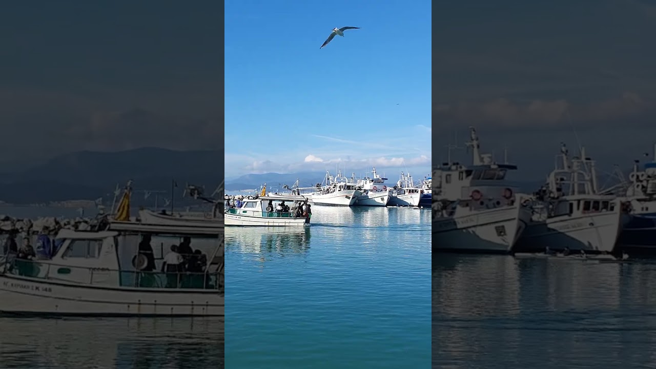 Ωρεοι Ευβοίας, Θεοφάνια 2025