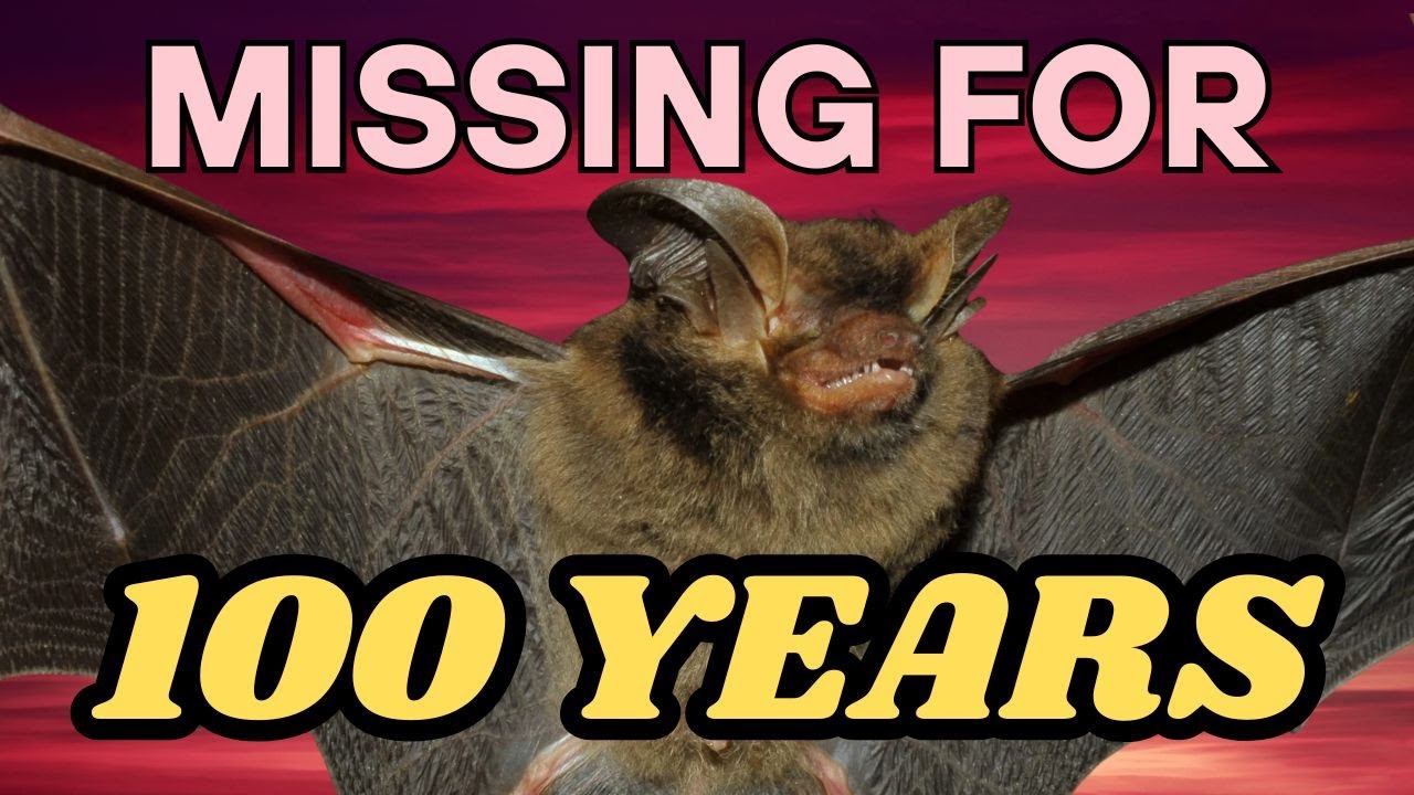 Missing for Decades - How 3 Species Were Rediscovered