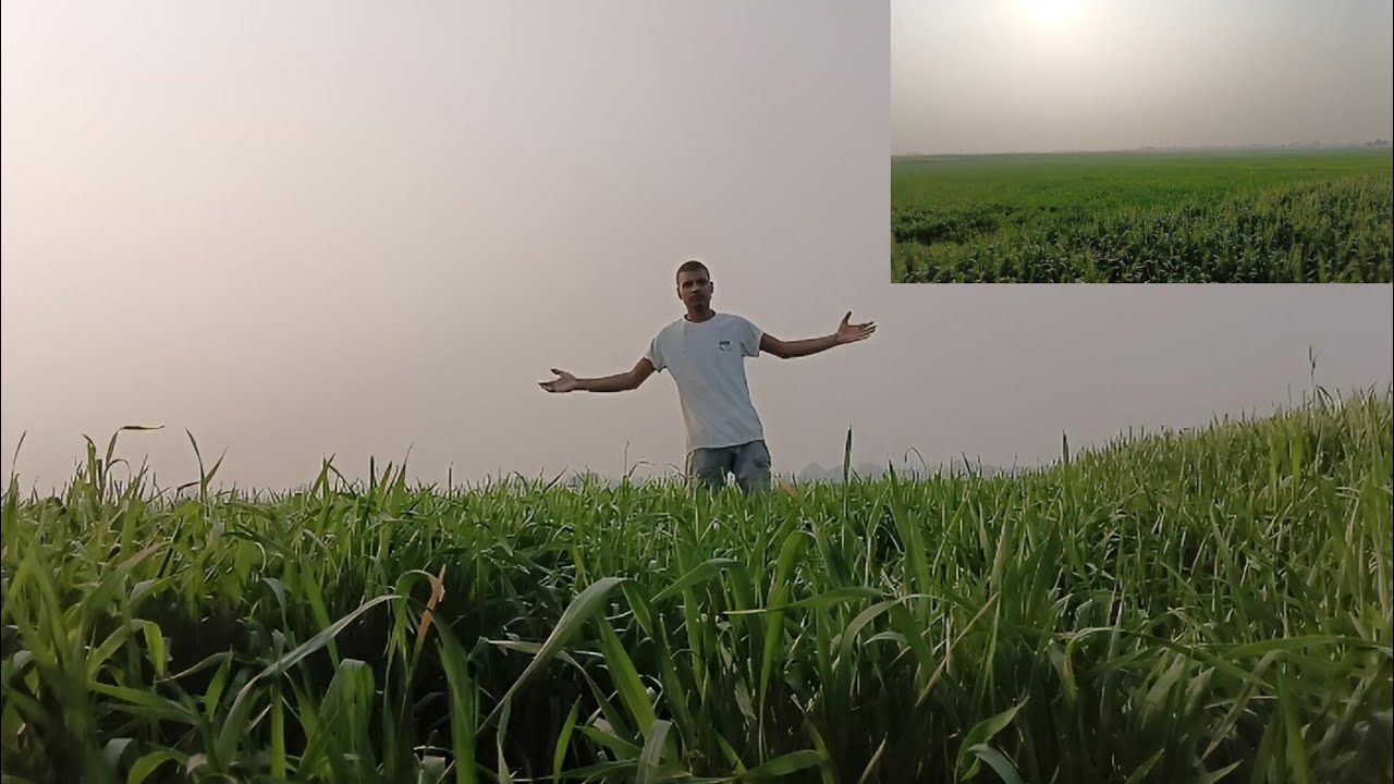 Kaafi Time Baad Wapas Bade Wale Khet Mein 🌾 | Emotional Comeback Vlog