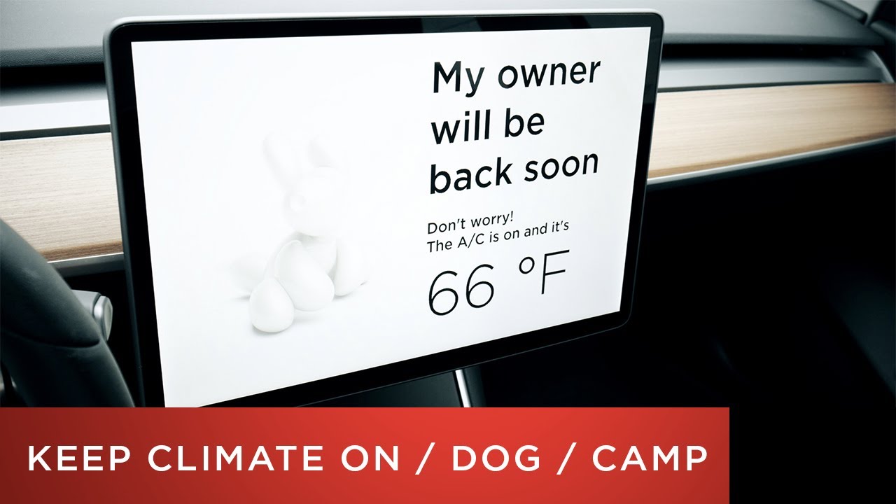 Tesla Model 3 Tutorial | Keep Climate On / Dog Mode / Camp Mode