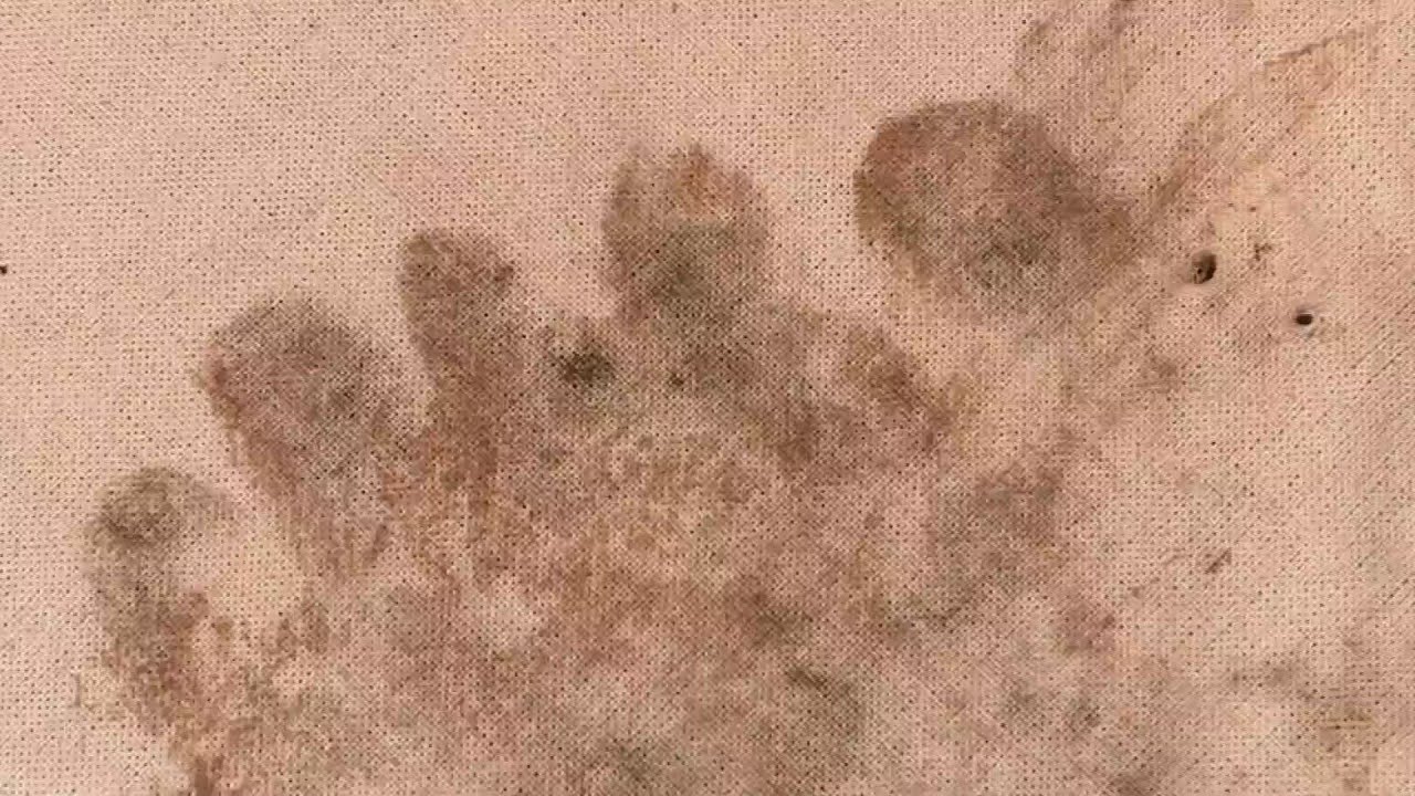 Finding Bigfoot in the Pacific Northwest