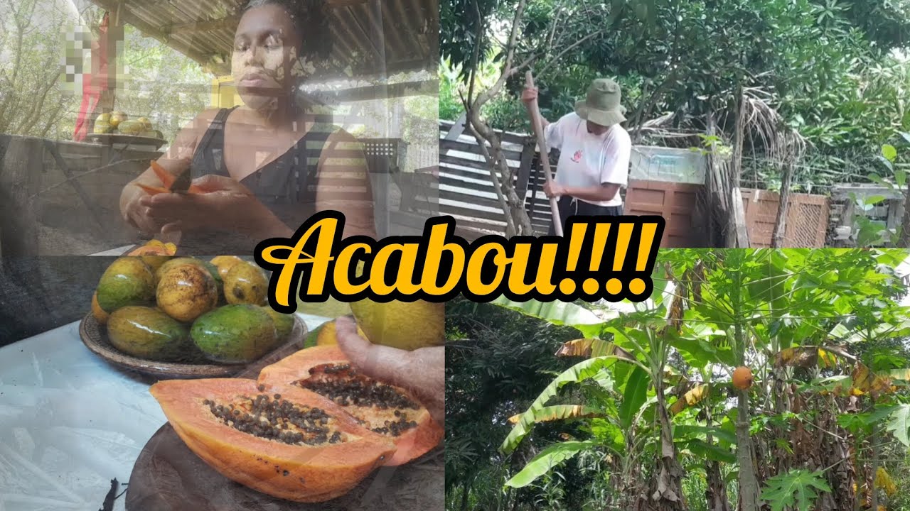 Acabou por aqui 🥭, a labuta continua!!!!!