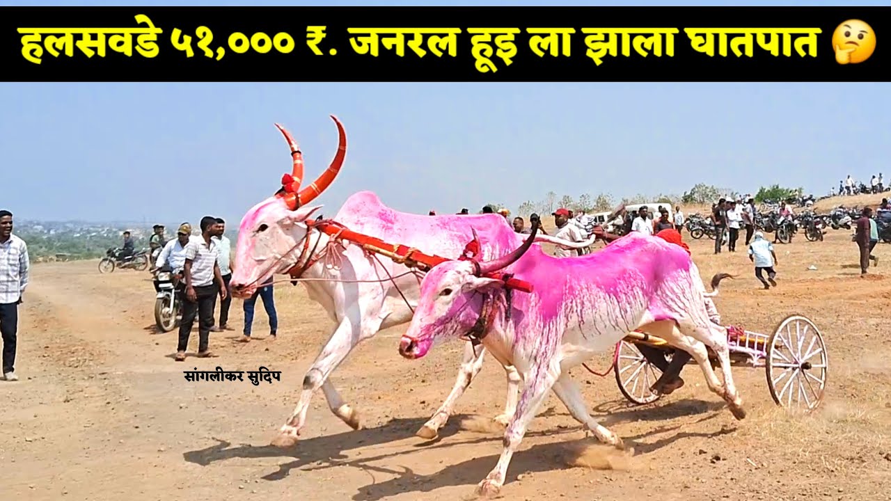 हलसवडे जनरल | डिलीट झालेला व्हिडिओ काही कारणास्तव परत टाकला | हरण्या च्या पायात मोटारसायकल टाकली 😳😡 