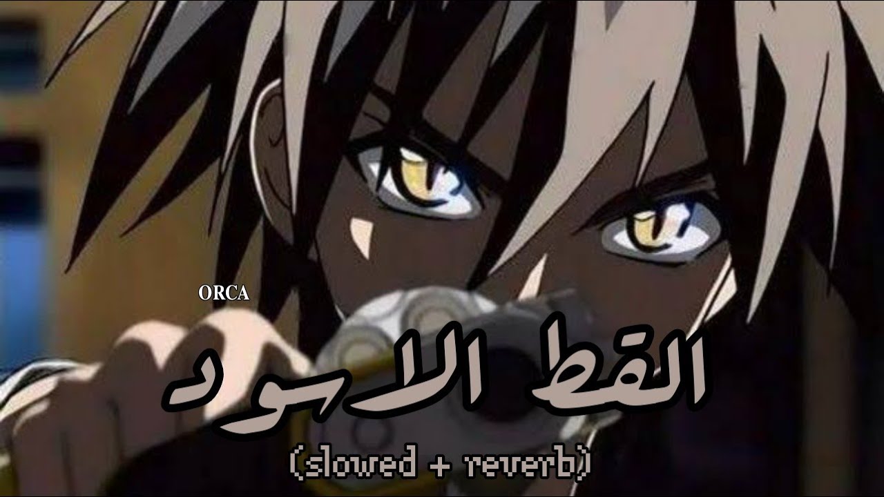 أغنية القط الأسود (𝚜𝚕𝚘𝚠𝚎𝚍 + 𝚛𝚎𝚟𝚎𝚛𝚋)