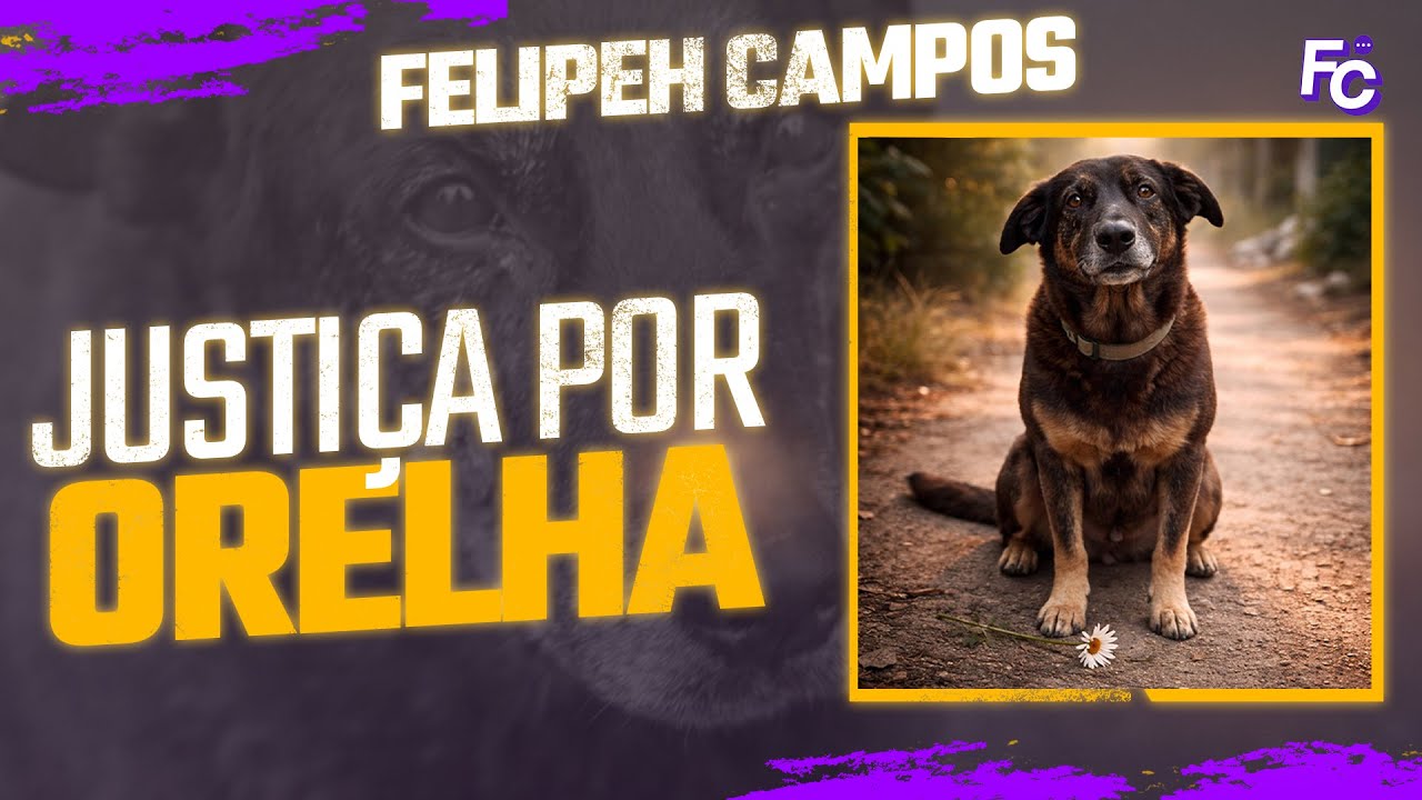 💣  CÃO ORELHA: CRUELDADE EM SANTA CATARINA l QUEM PROTEGEU OS CULPADOS?