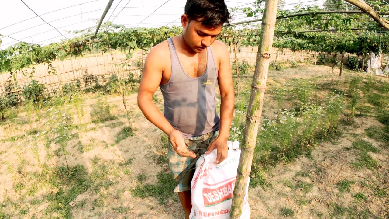 Village Life: Bangladesh Village Farming Vlog Kerala Farm 2021