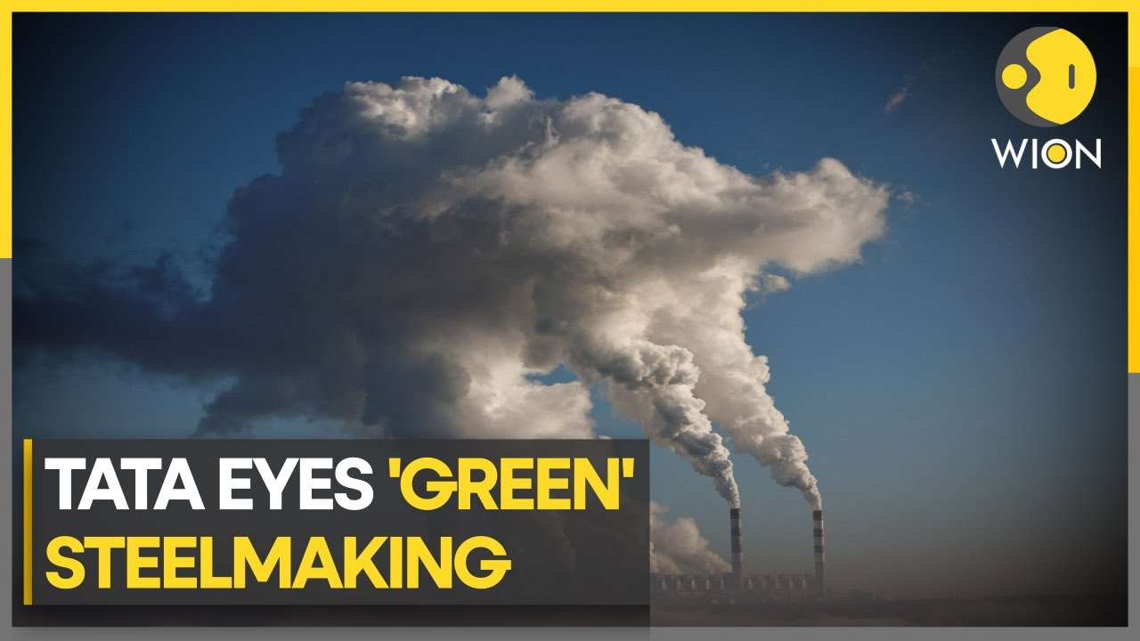 Activists protest steel factory in the Netherlands | Latest World News | WION Climate Tracker