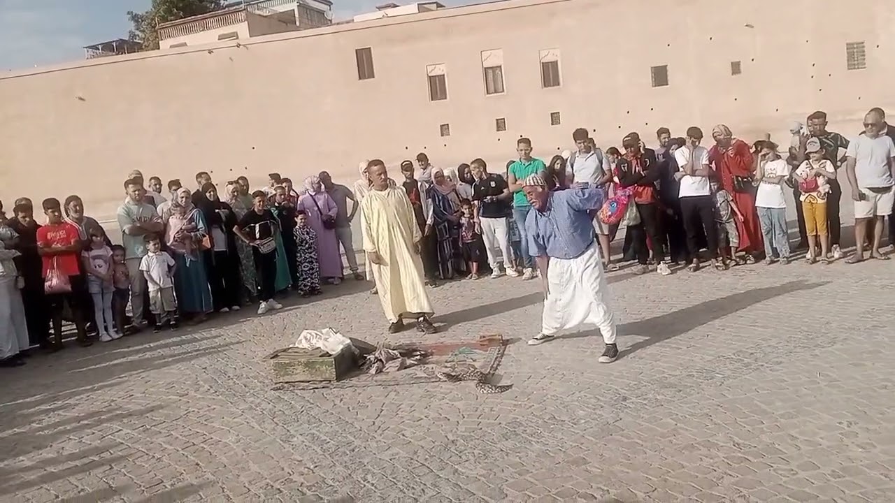 أجواء عيد المولود النبوي الشريف في مكناس